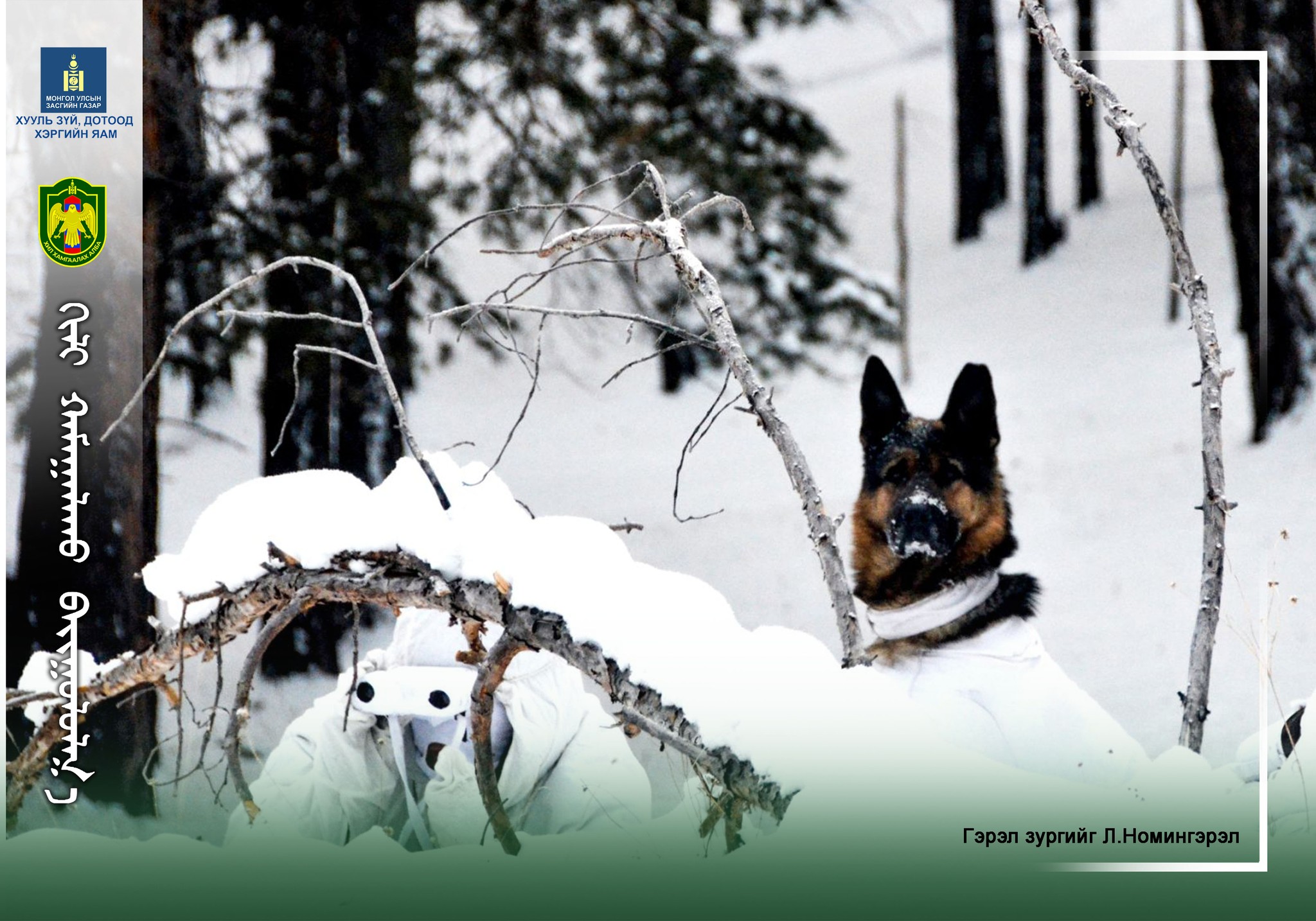 Баян-Өлгий аймагт хулгайн ан хийж байсан этгээдүүдийг хилчид илрүүлжээ