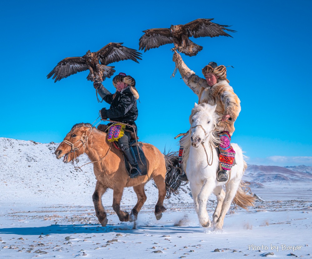 Нийт нутгаар хүйтэрч, говь, тал, хээрийн нутгаар салхита