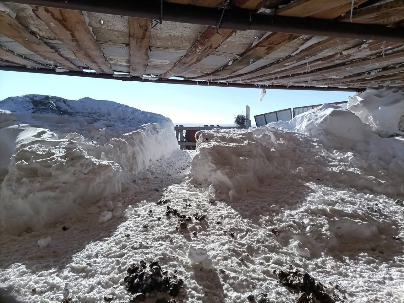 УОК: Халх гол суманд үүссэн нөхцөл байдалд шаардлагатай арга хэмжээг авч ажиллаж байна