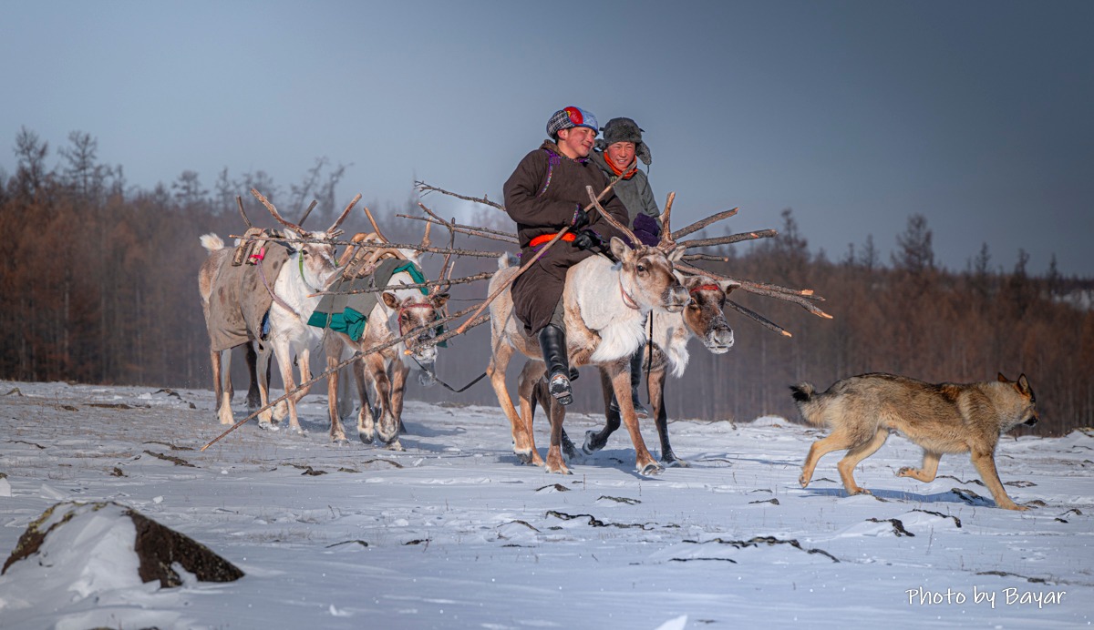 Дарьгангын тал нутгаар цас орж, явган шуурга шуурна