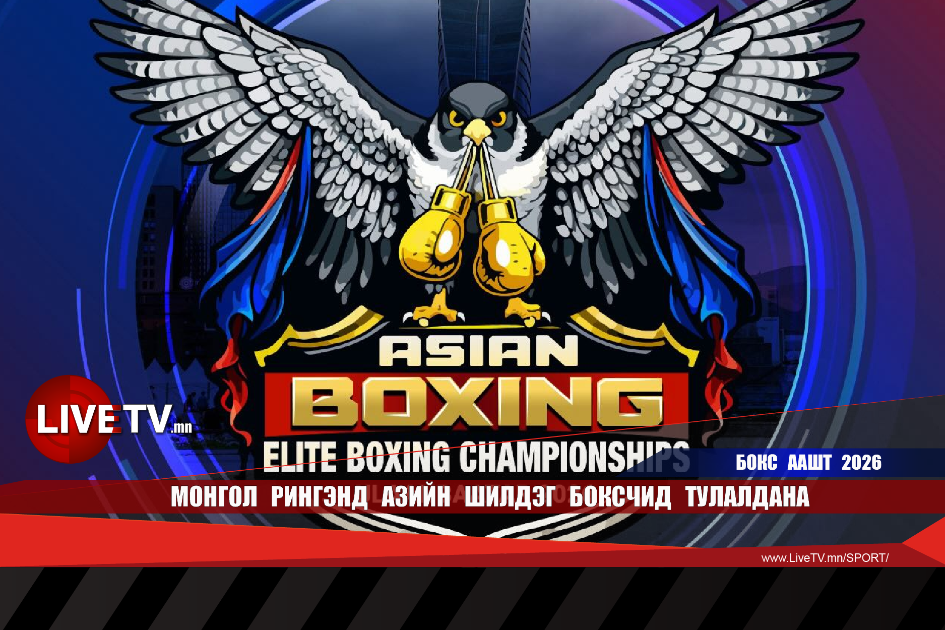 Монгол рингэнд Азийн шилдэг боксчид тулалдана