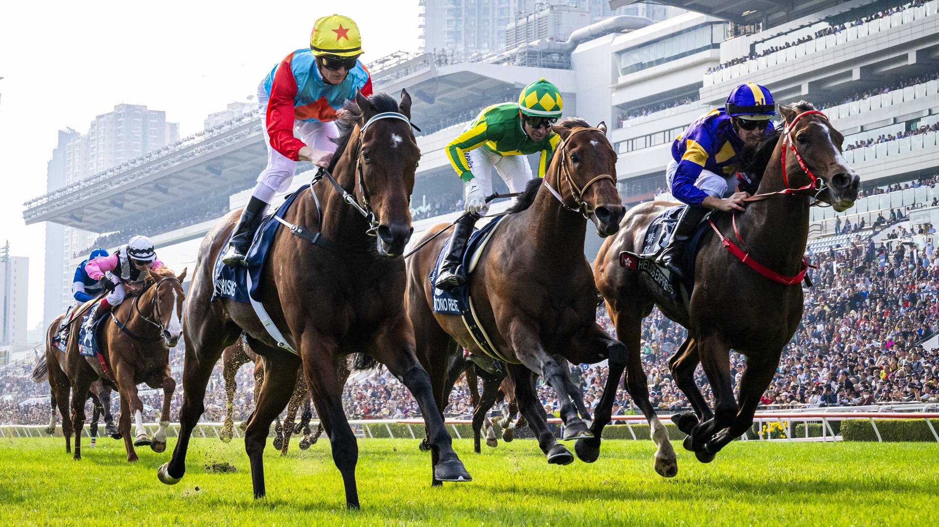 “АРА Комплекс”-т анх удаагаа морин тойруулгын уралдаан болно