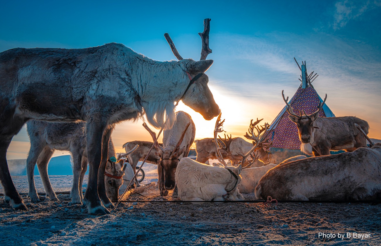 Ойрын гурав хоногтоо нийт нутгаар дулаарна