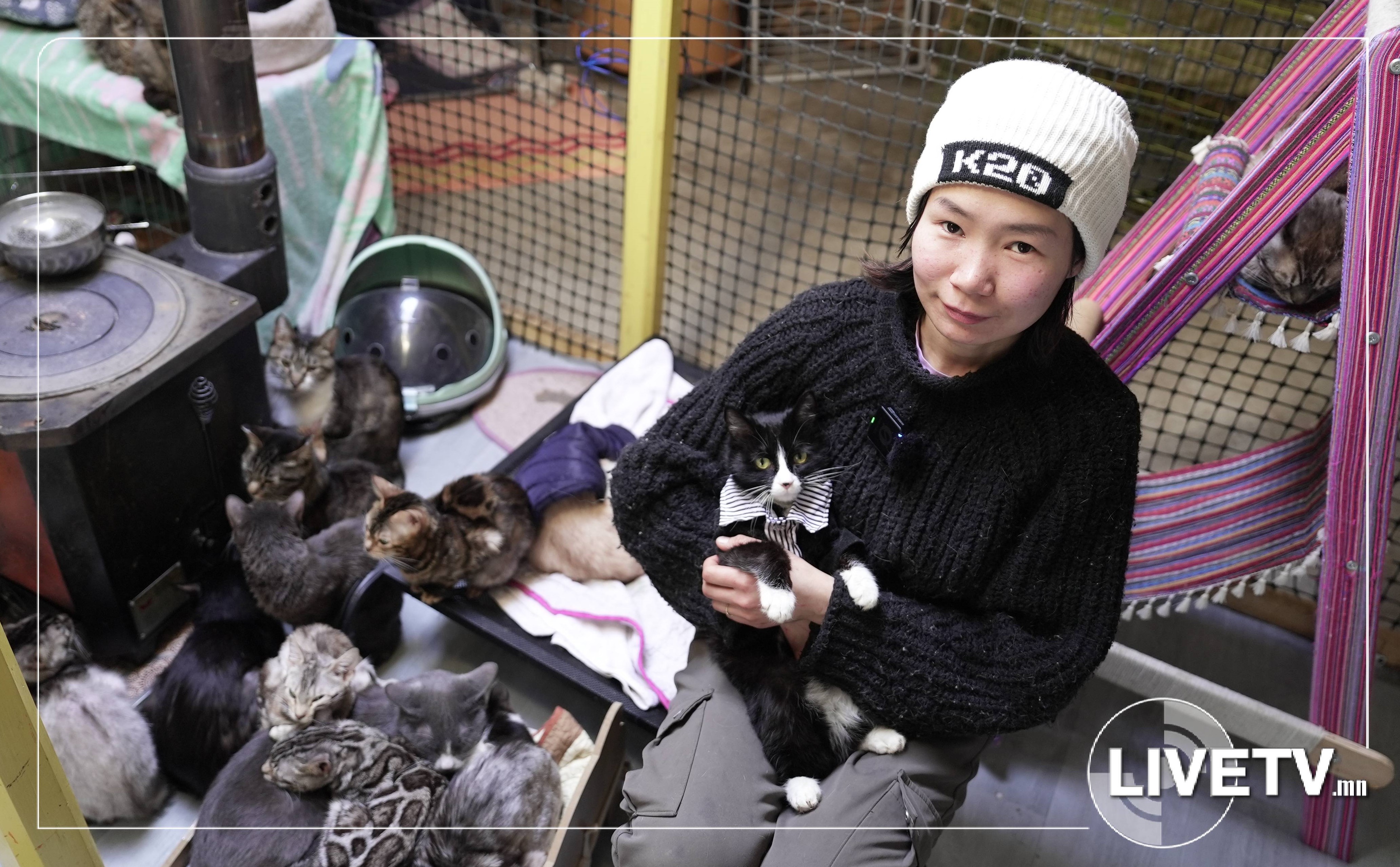 63 мууртай хамт амьдарч буй Б.Мөнхчимэг