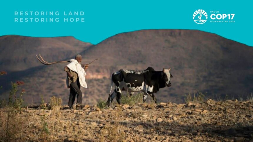 Тэсвэрлэх чадвар, тэнцвэрт байдал, хөгжил цэцэглэлтийн хөшүүрэг – Эрүүл газартай байхын төлөө Нэгдсэн Үндэстний Байгууллага чуулна