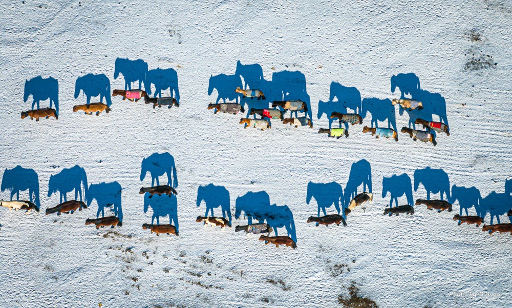 Алтай, Хангай, Хөвсгөлийн уулархаг нутгаар зөөлөн цасан шуургатай