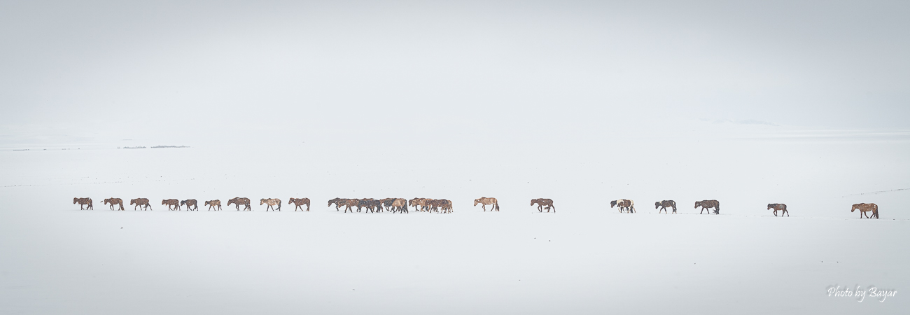 Хангай, Хөвсгөлийн уулархаг нутаг, Орхон-Сэлэнгийн сав газраар хур тунадастай