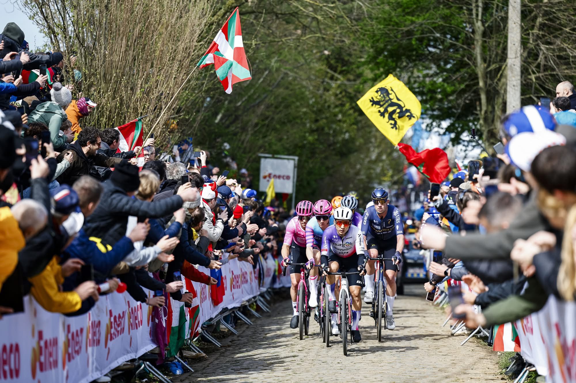 Дээд ангиллын классик уралдаан Бельгийн "Tour of Flanders"-д уралдсан анхны монгол тамирчин