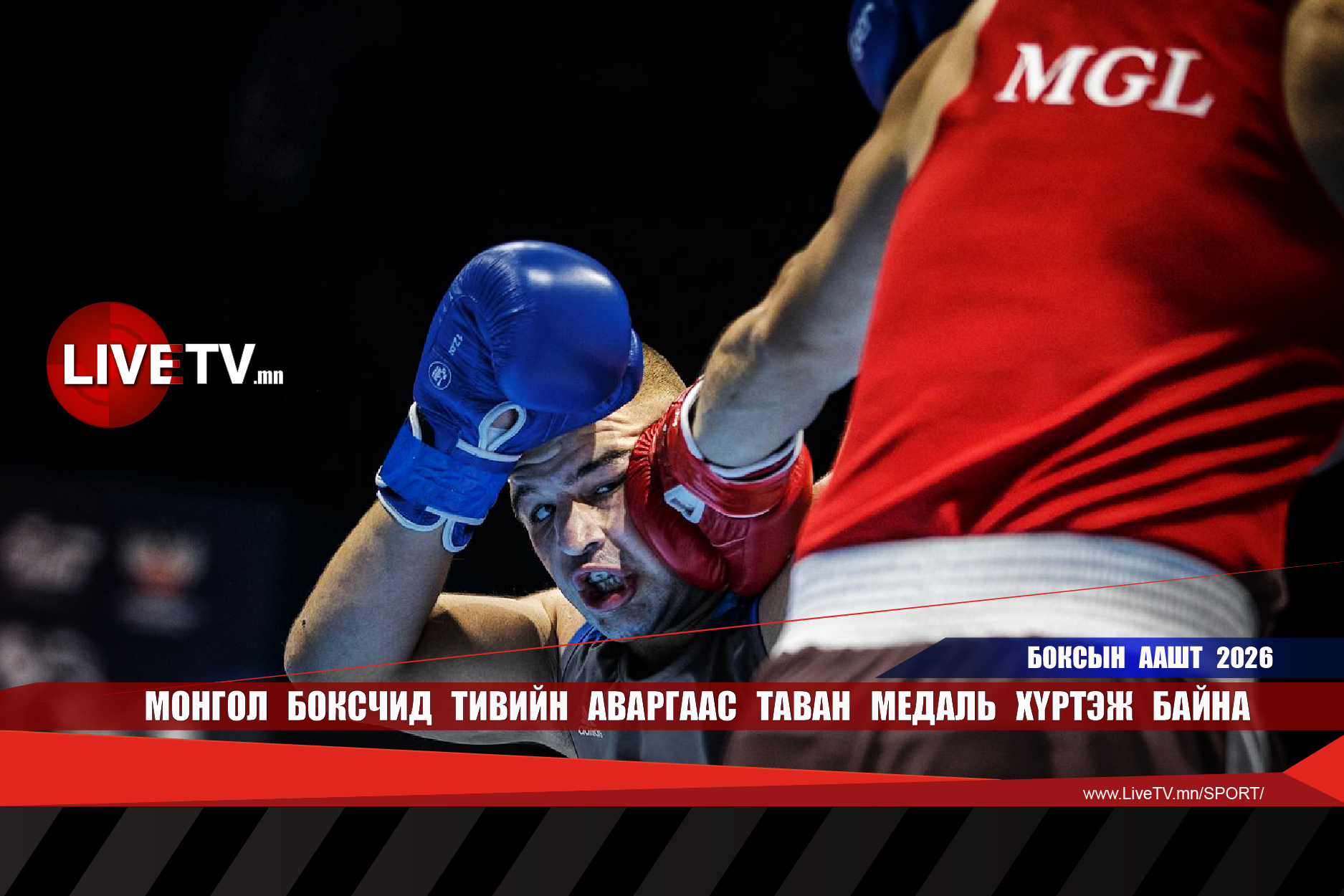 Монгол боксчид тивийн аваргаас таван медаль хүртэж байна