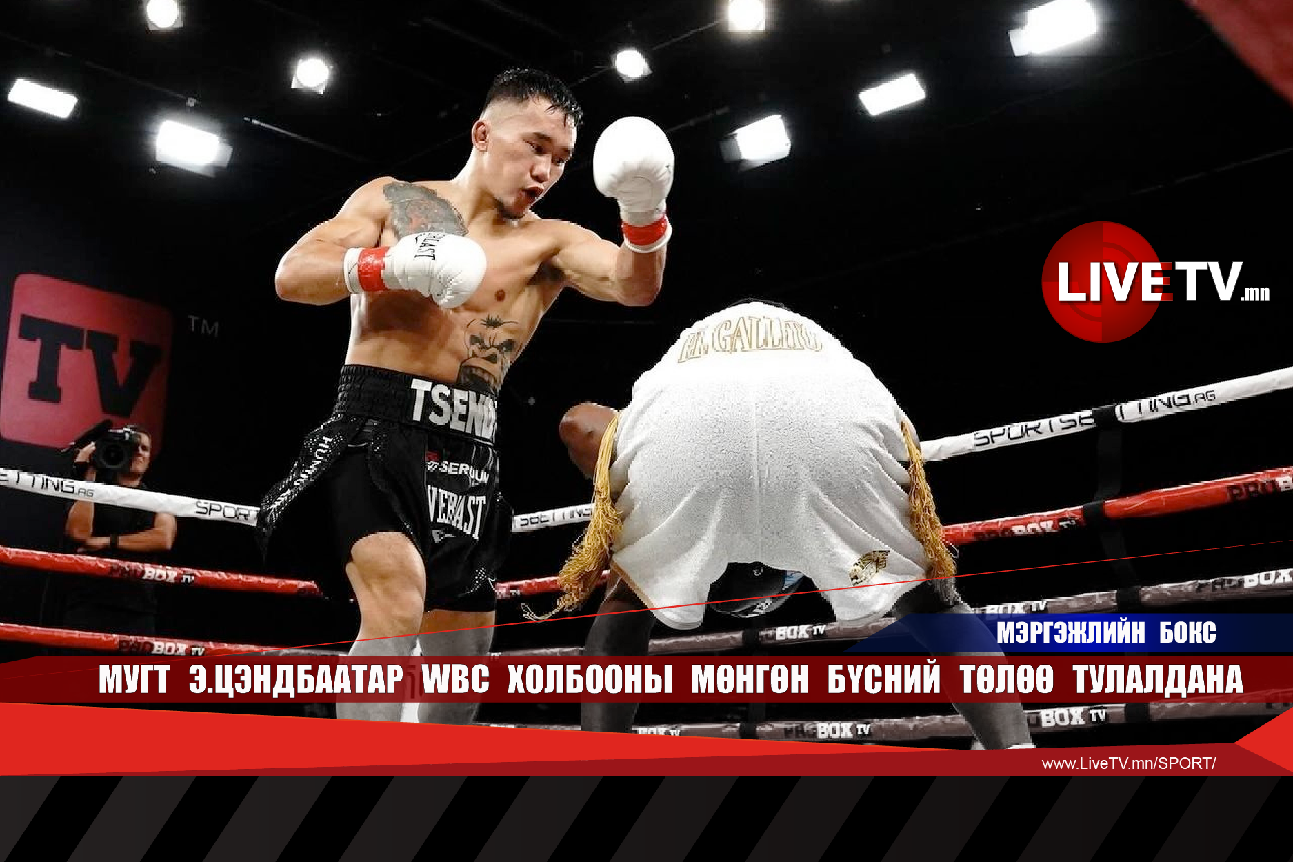 МУГТ Э.Цэндбаатар WBC холбооны мөнгөн бүсний төлөө тулалдана