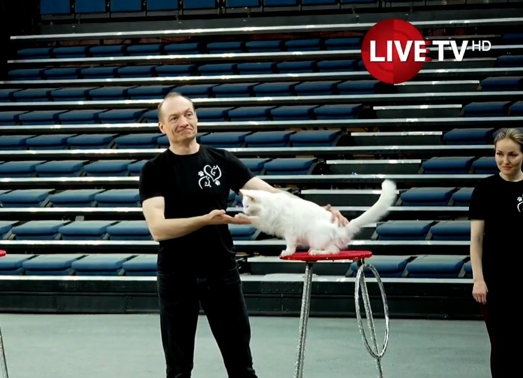 "Дэлхийн цирк Монголд-2026" энэ сарын 18-аас эхлэн тоглогдоно