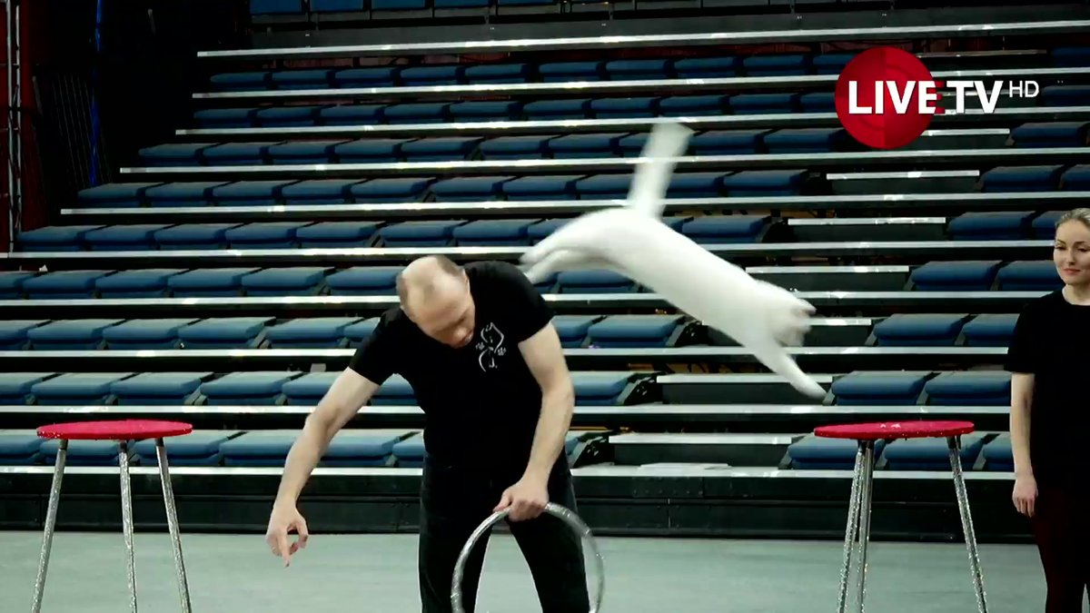 Дэлхийн цирк Монголд-2026