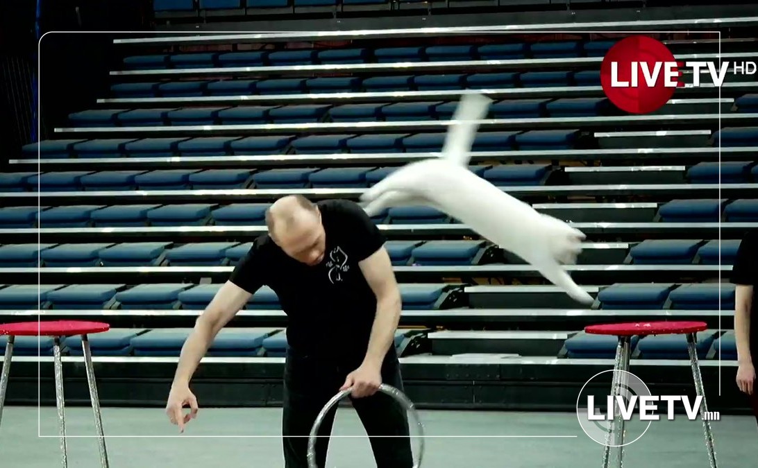 Дэлхийн цирк Монголд-2026