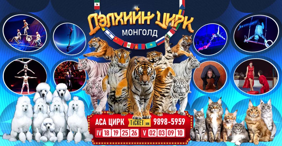 “Дэлхийн цирк Монголд-2026” тоглолт үргэлжилж байна