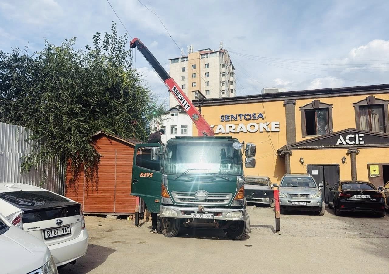 533130413 1195830149250235 7073835706992096308 N