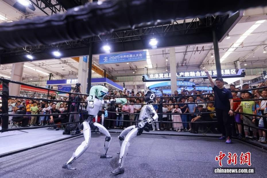 530837033 1190346743111607 8781569545139176530 N