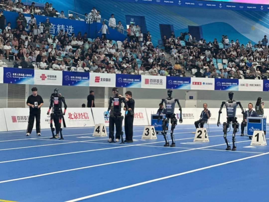 535017200 1196094132536868 2497916284911981569 N