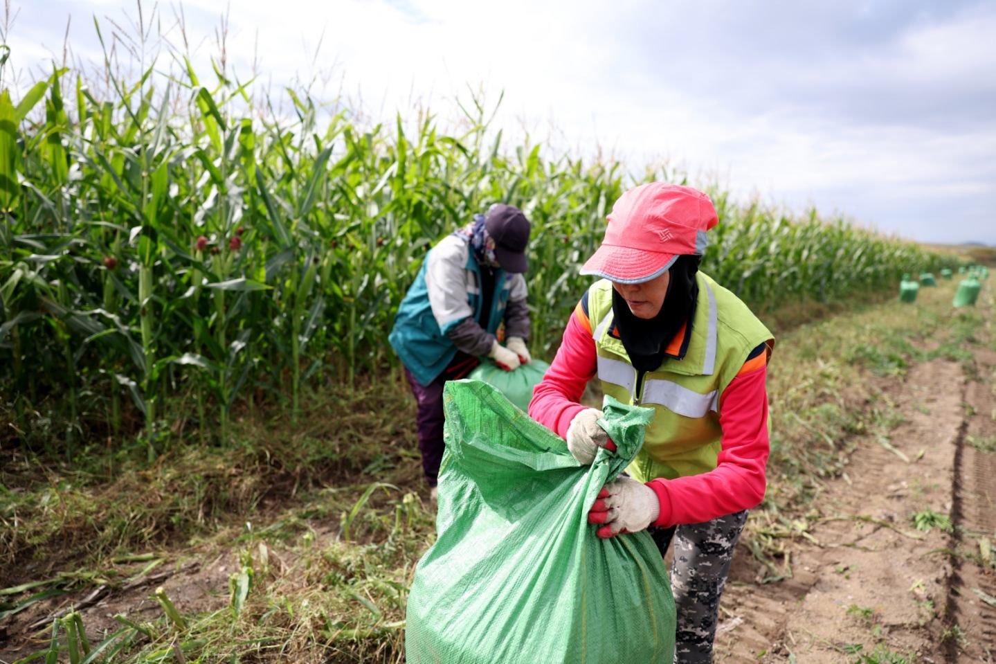 544591349 1322780439404676 361828820790172145 N