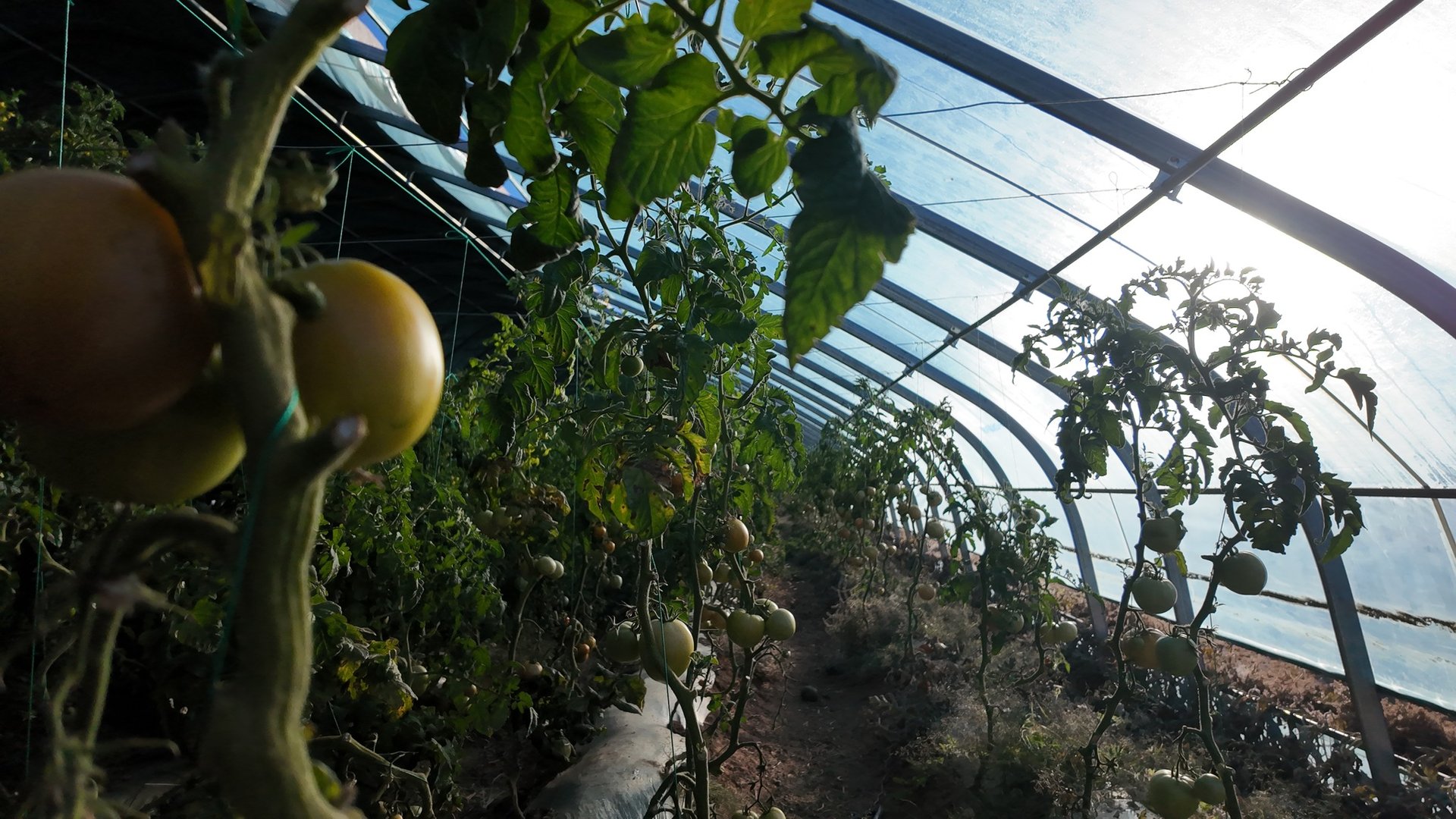 548245836 1095886006026264 7273810854316861030 N