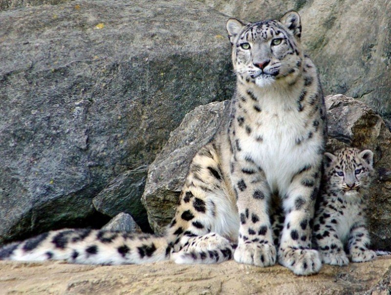 552964781 1113918164282625 8743117764973841064 N