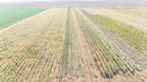 553295095 1792172844743945 3869725899886137149 N