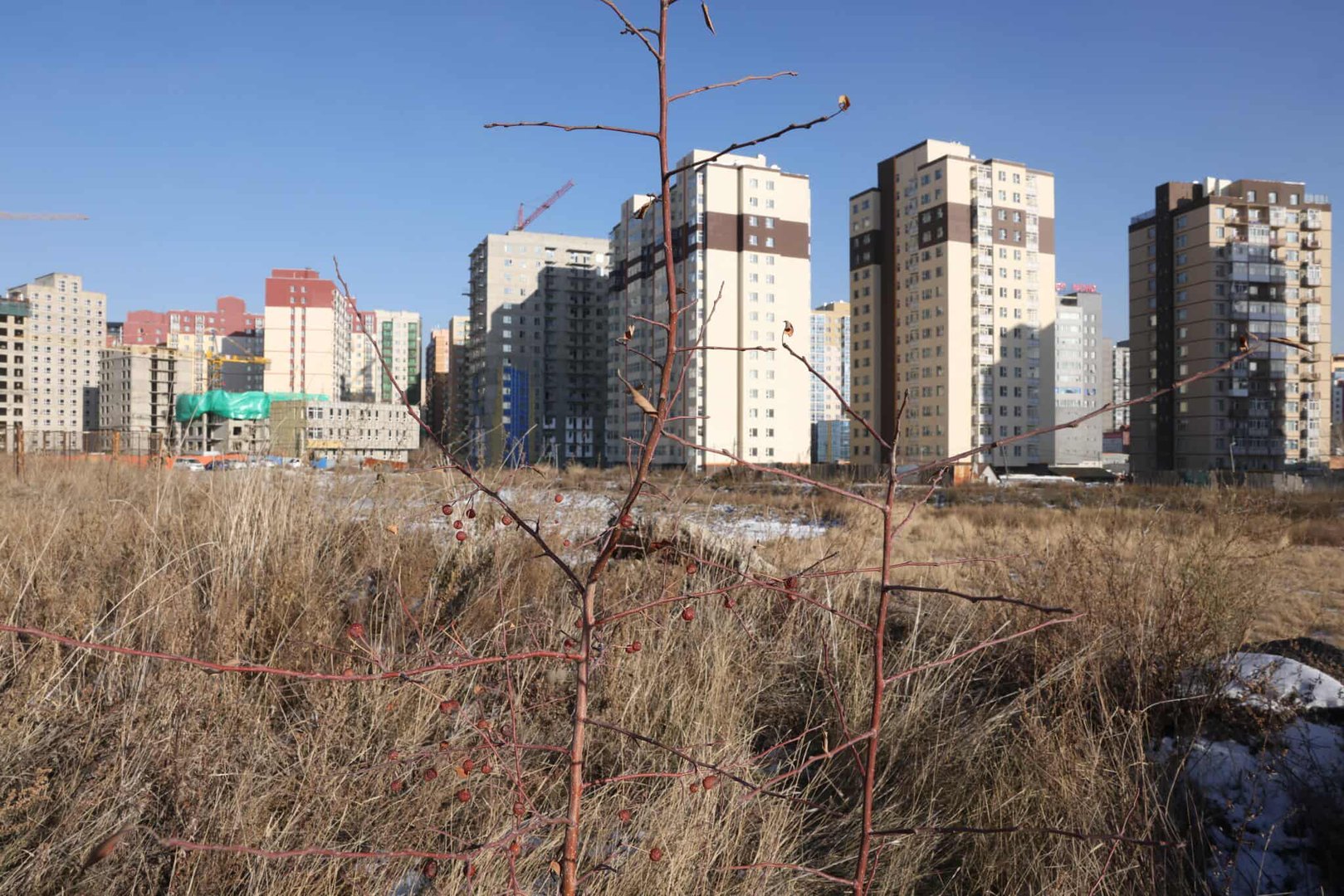 68F8A576E337Fe7967A305F2