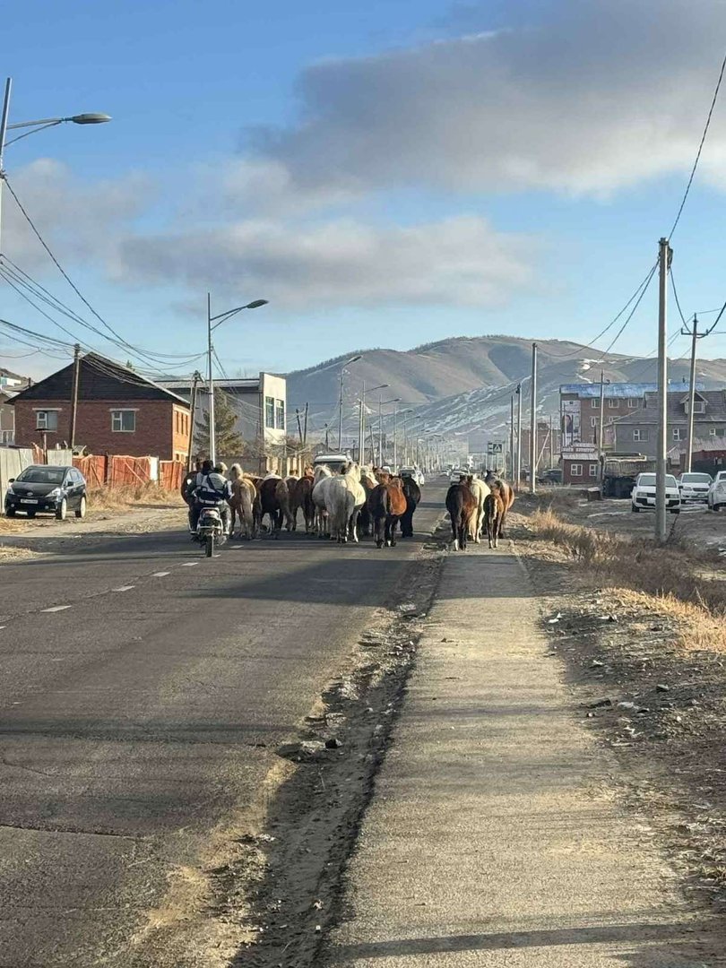 690Ab639E337Fe7967A30756