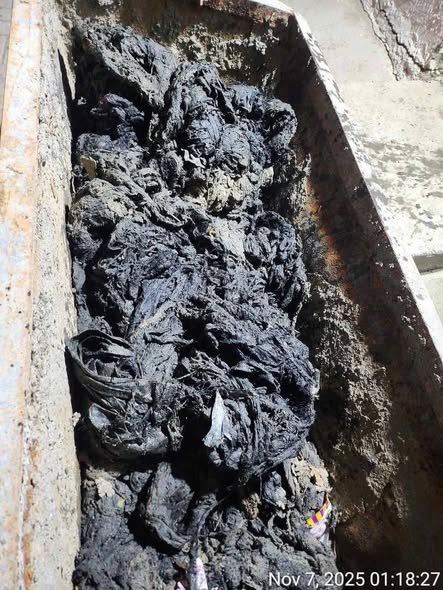 577560374 122234012612257880 1396738974680094205 N