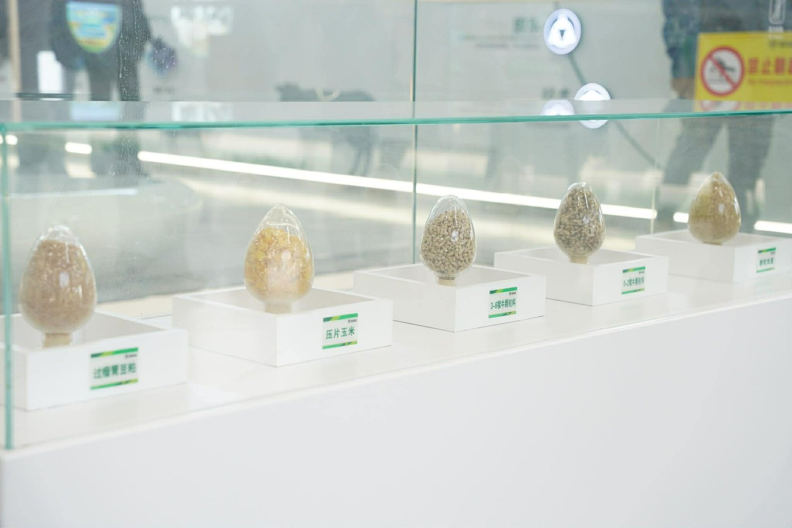 591336964 711031884988734 1121332439474290579 N