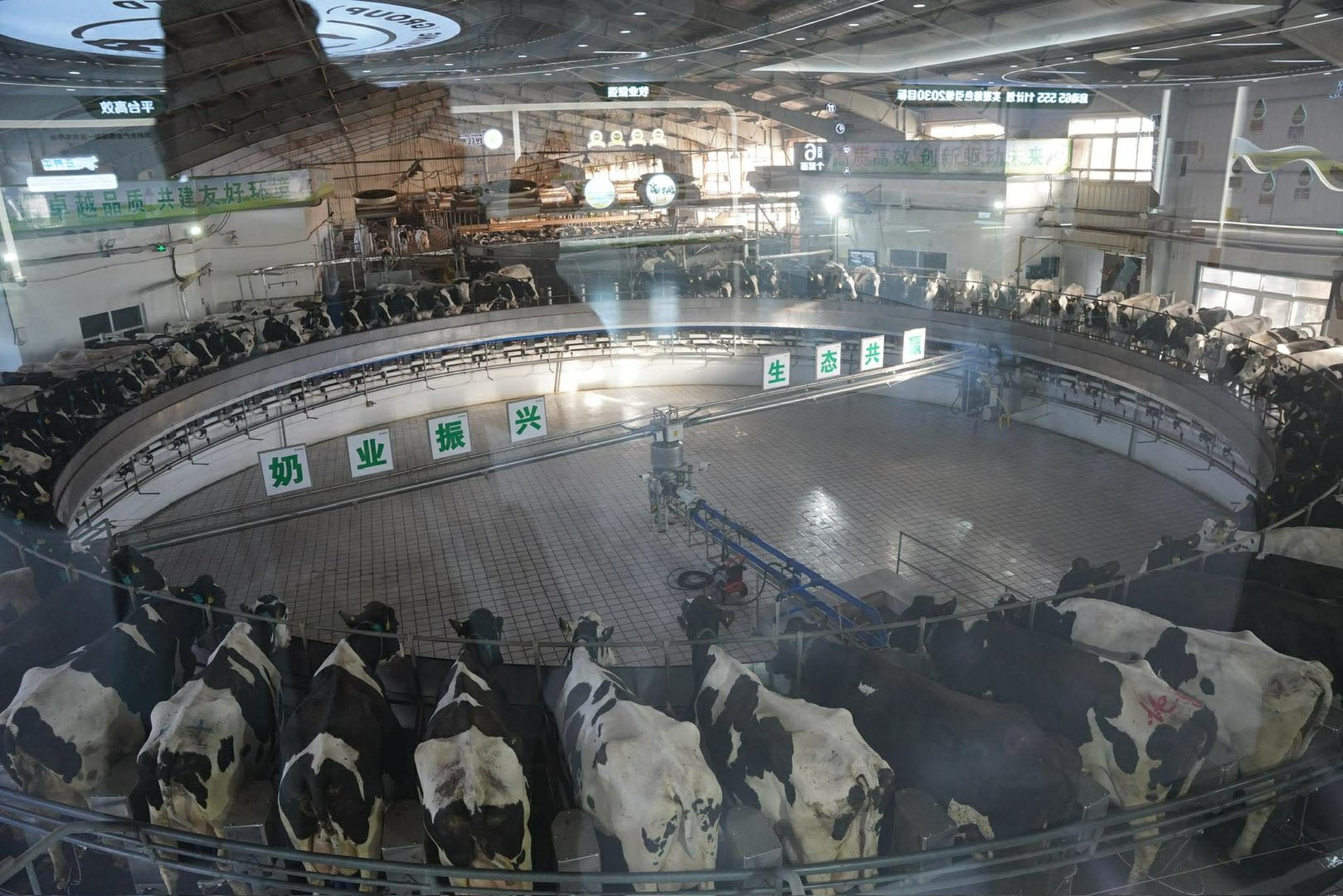 591983376 1380125730190272 452158002718003090 N