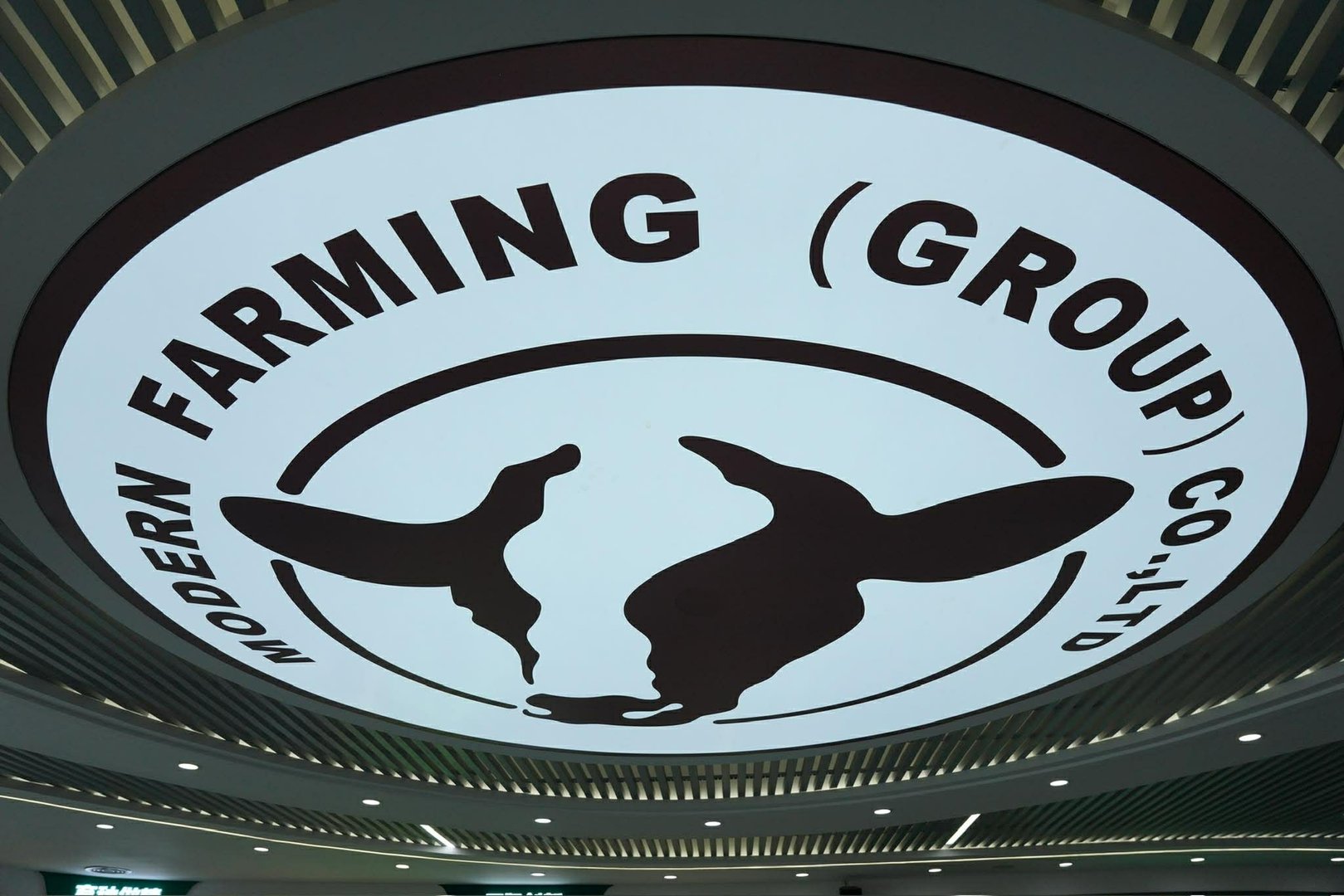 591913027 830805873030766 5409293846338427580 N