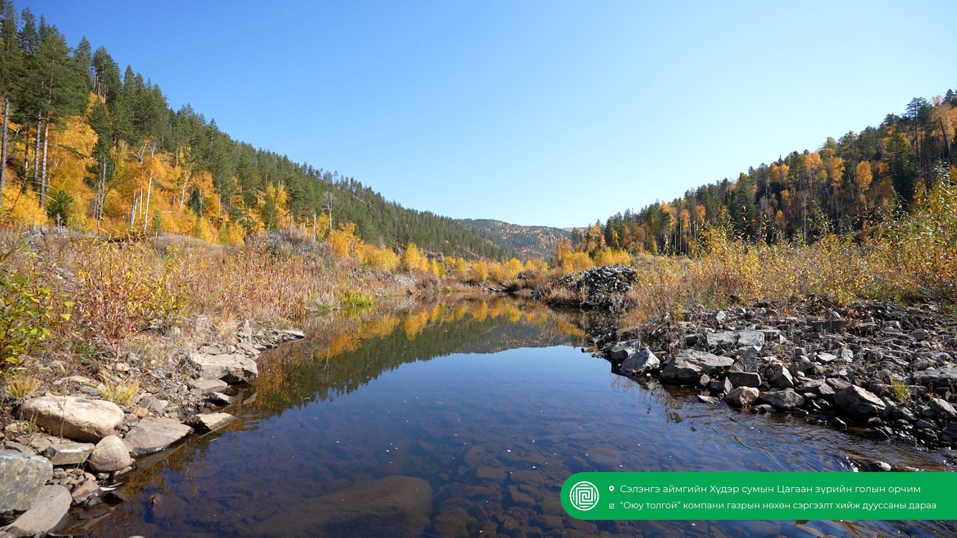 580524525 1130792515875296 5148843134841798532 N