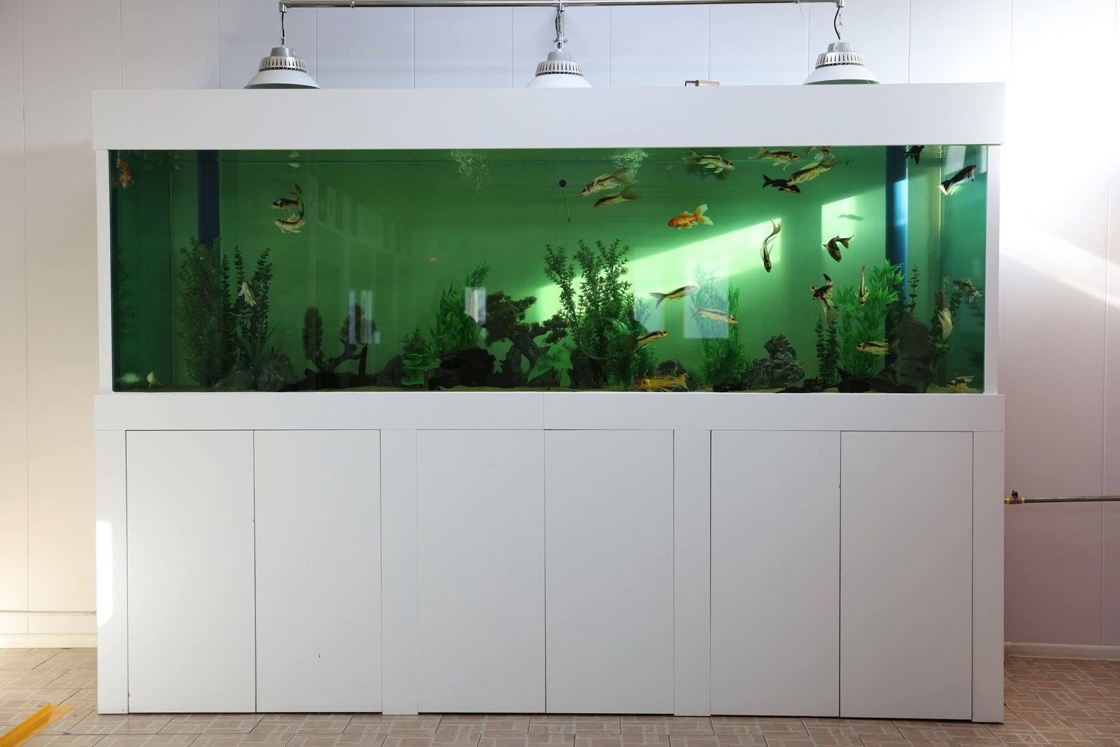 600156133 1291485379785895 2979538642878755656 N