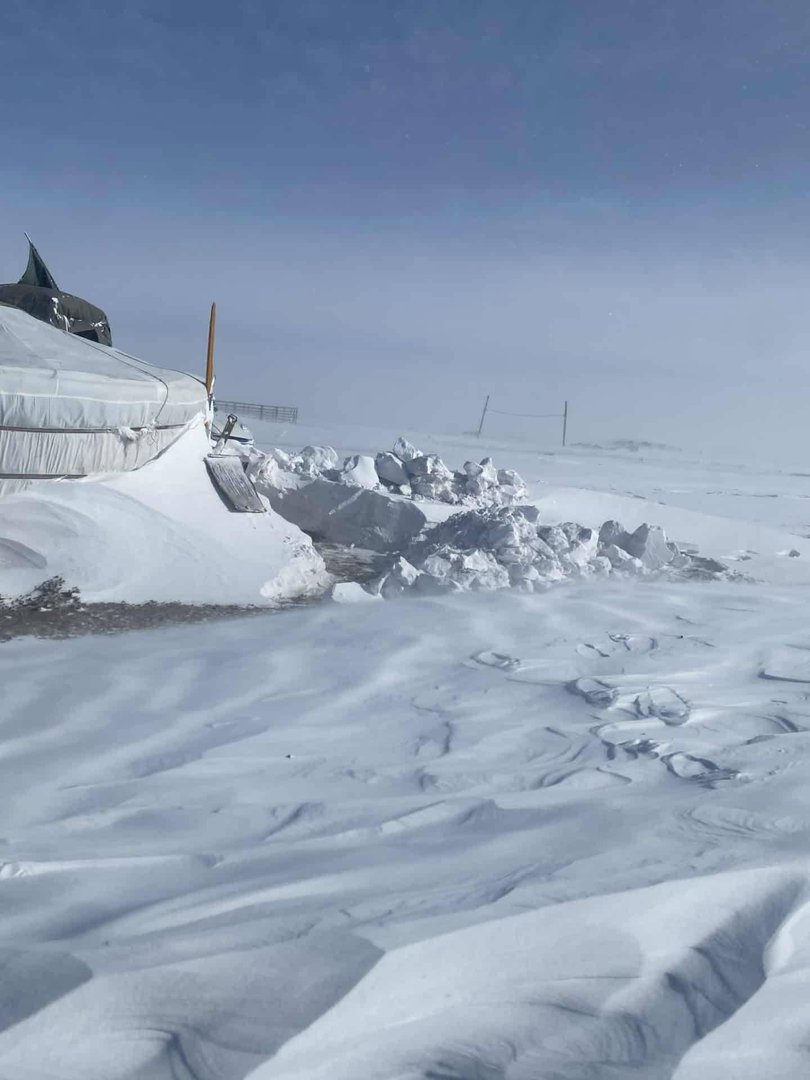 637127904 1425802952253519 8508718102463127195 N