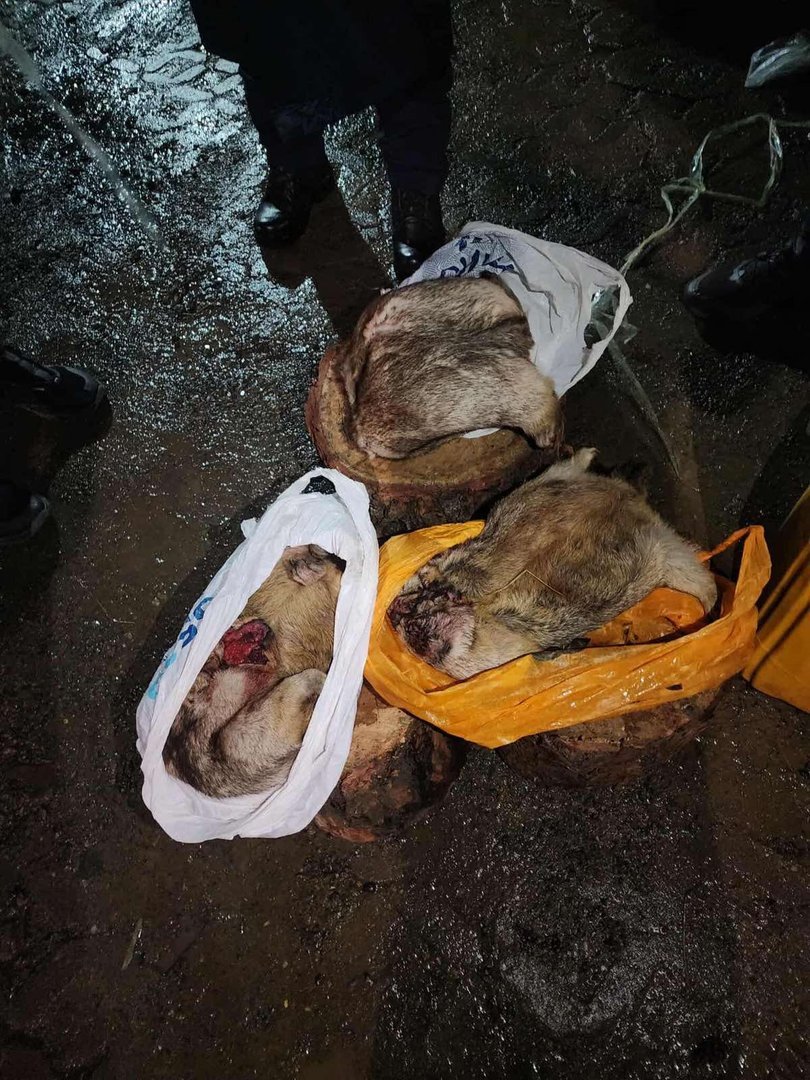 96ce4aceae7d48bdb0509c9b06601614