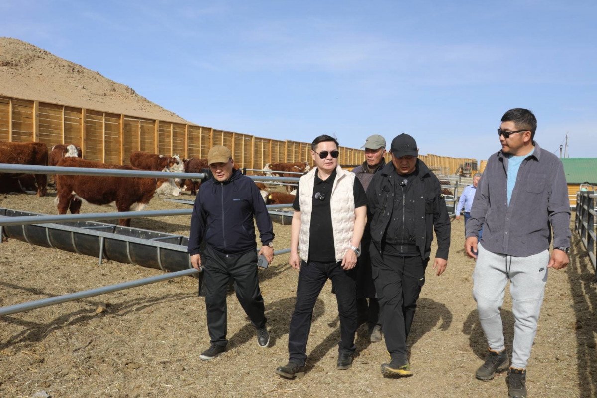 4ac664dd0fb948559d7b75e530c1bb09