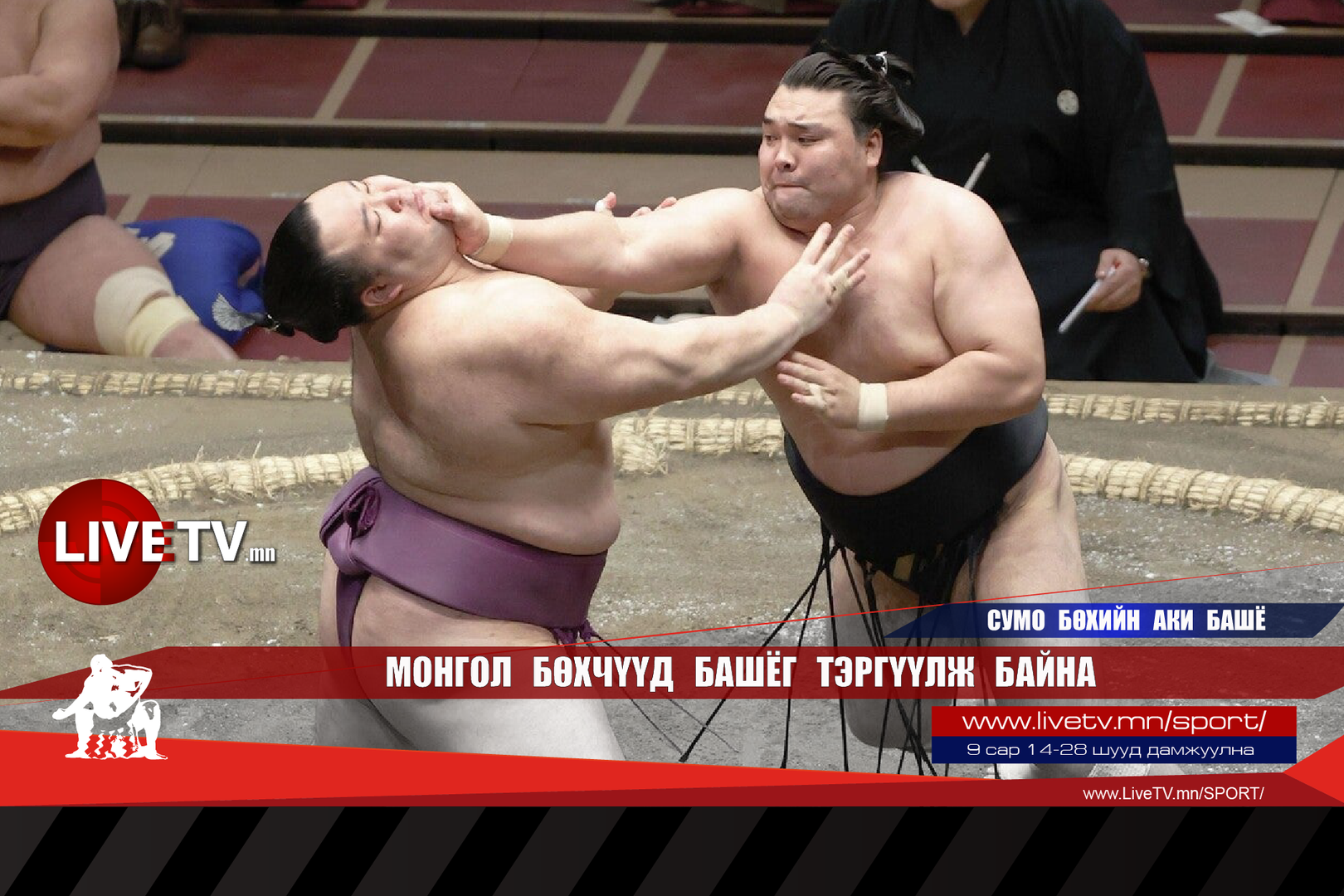 66a615a8debc41499381348ee5b4f107