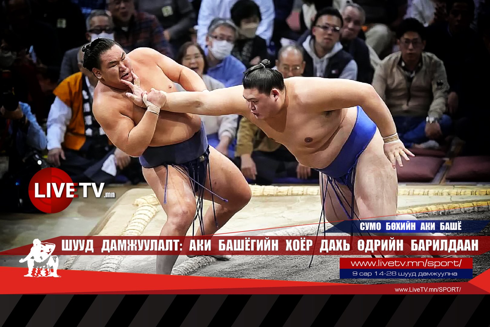 86c46b6e1dec43c29e72b8d2bb98ad31