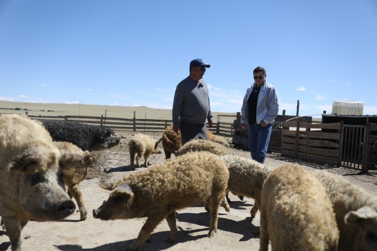 982e9e919cb1495a9c25220cc35072e7