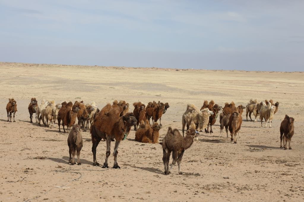 9a31f51762e04111a70a28637fbb8616