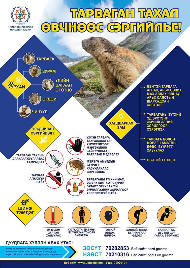 e1dcc75e78f2451f9d622468a4b27aea