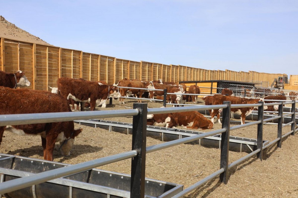 e4e30ea4f29748c582a27e5096be7ec8