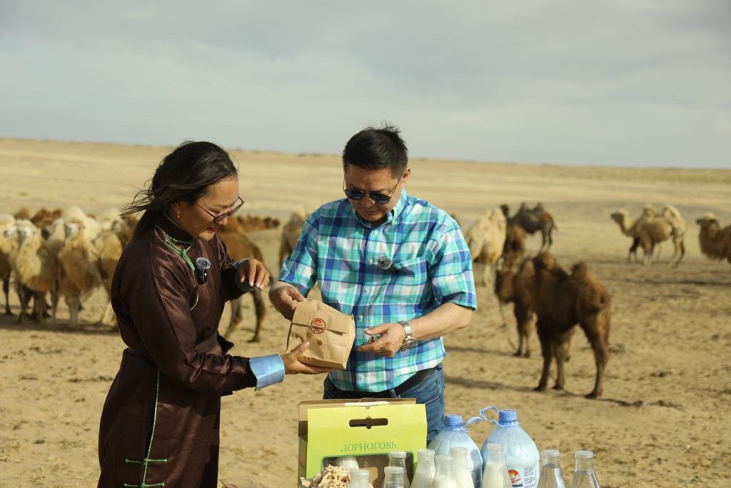 e7ee295952e24ec7be783f55e2ae6dc1