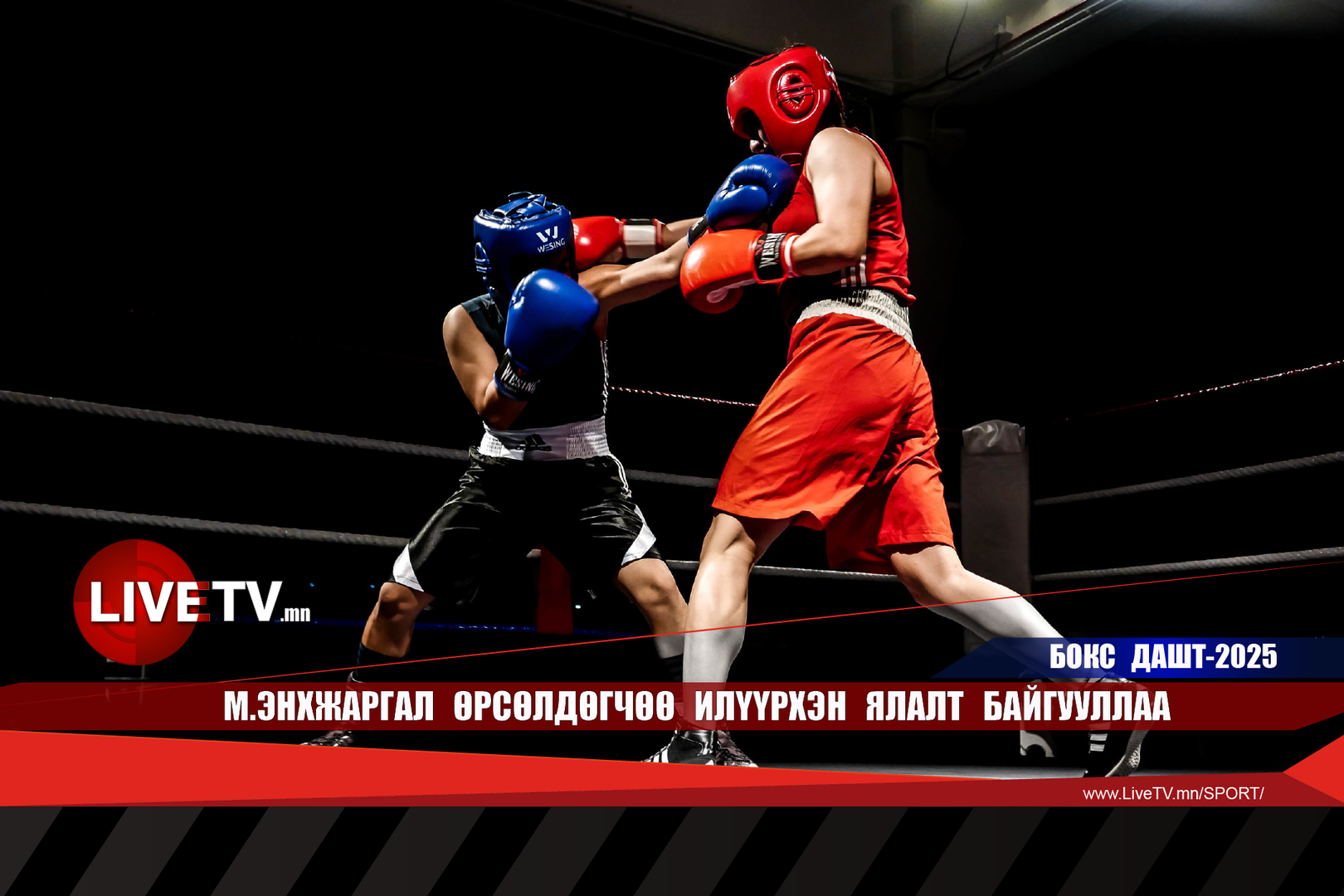 fd9ed6d037e142e8a73e058348b9c6a0