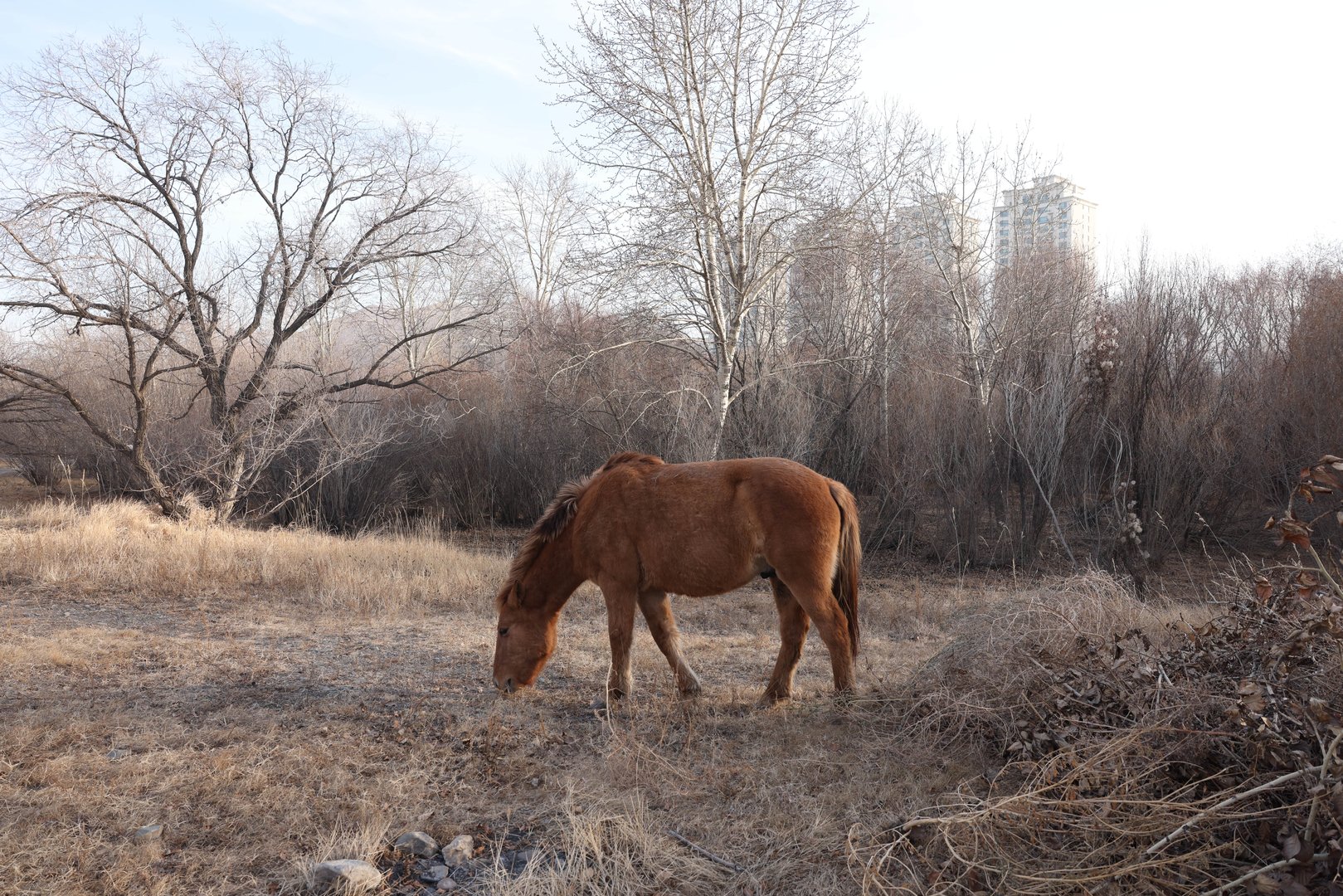 b8339d5354f143248f5cacbd9d53da8c