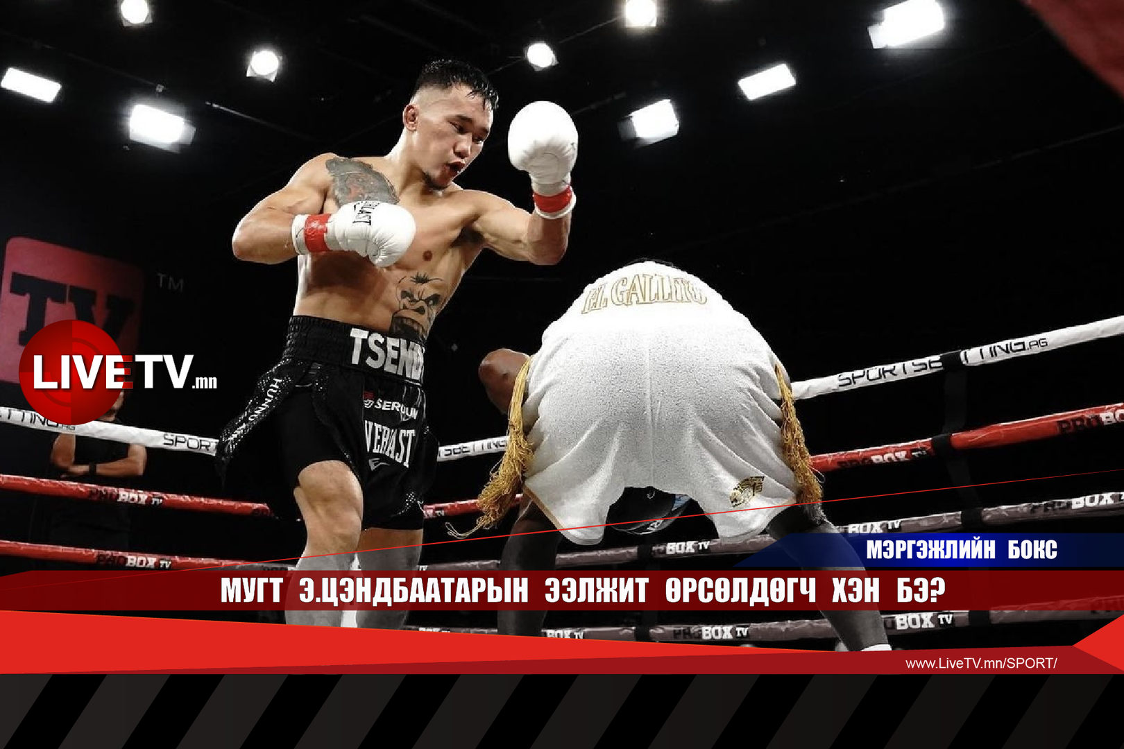 254b199eef76436d92d6d9330869f204