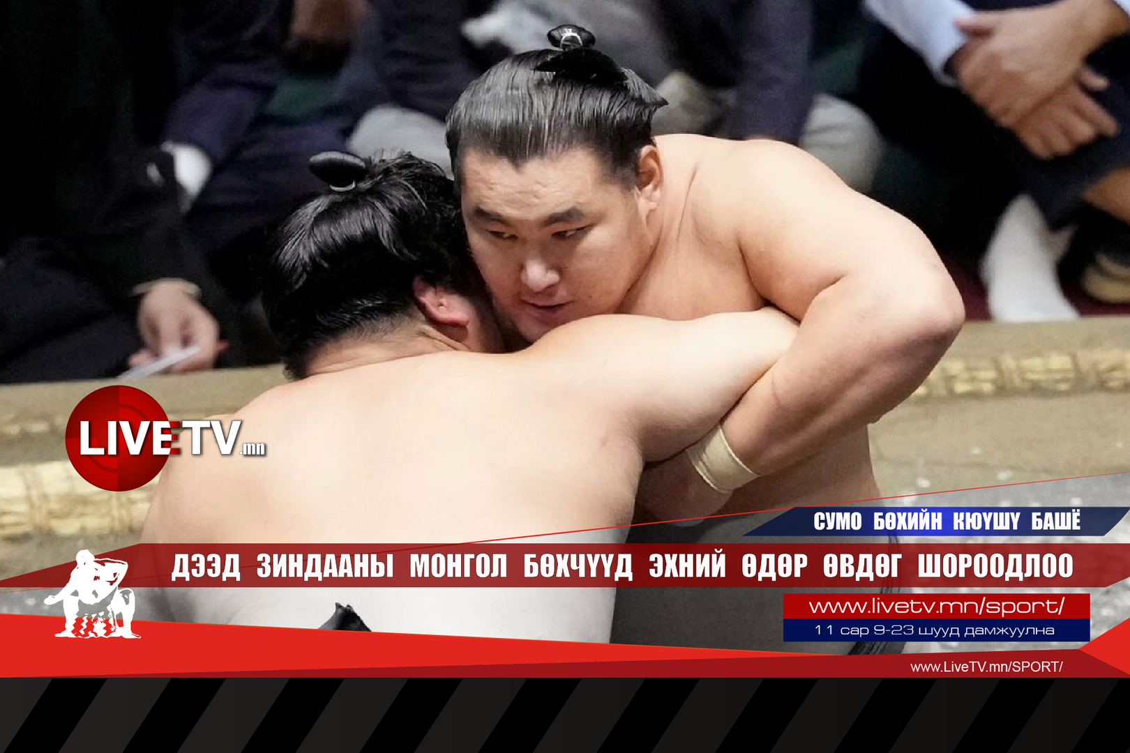 2d0932809002428d8dcb1b02860c7703