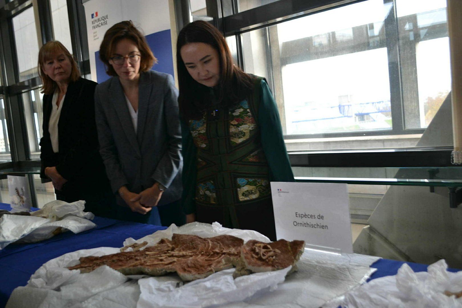 23abd8905dea4249b9fa3245c5b722fe