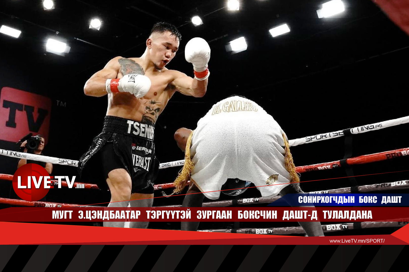 3e1470e2127d446aa5484a8fdd61cb14