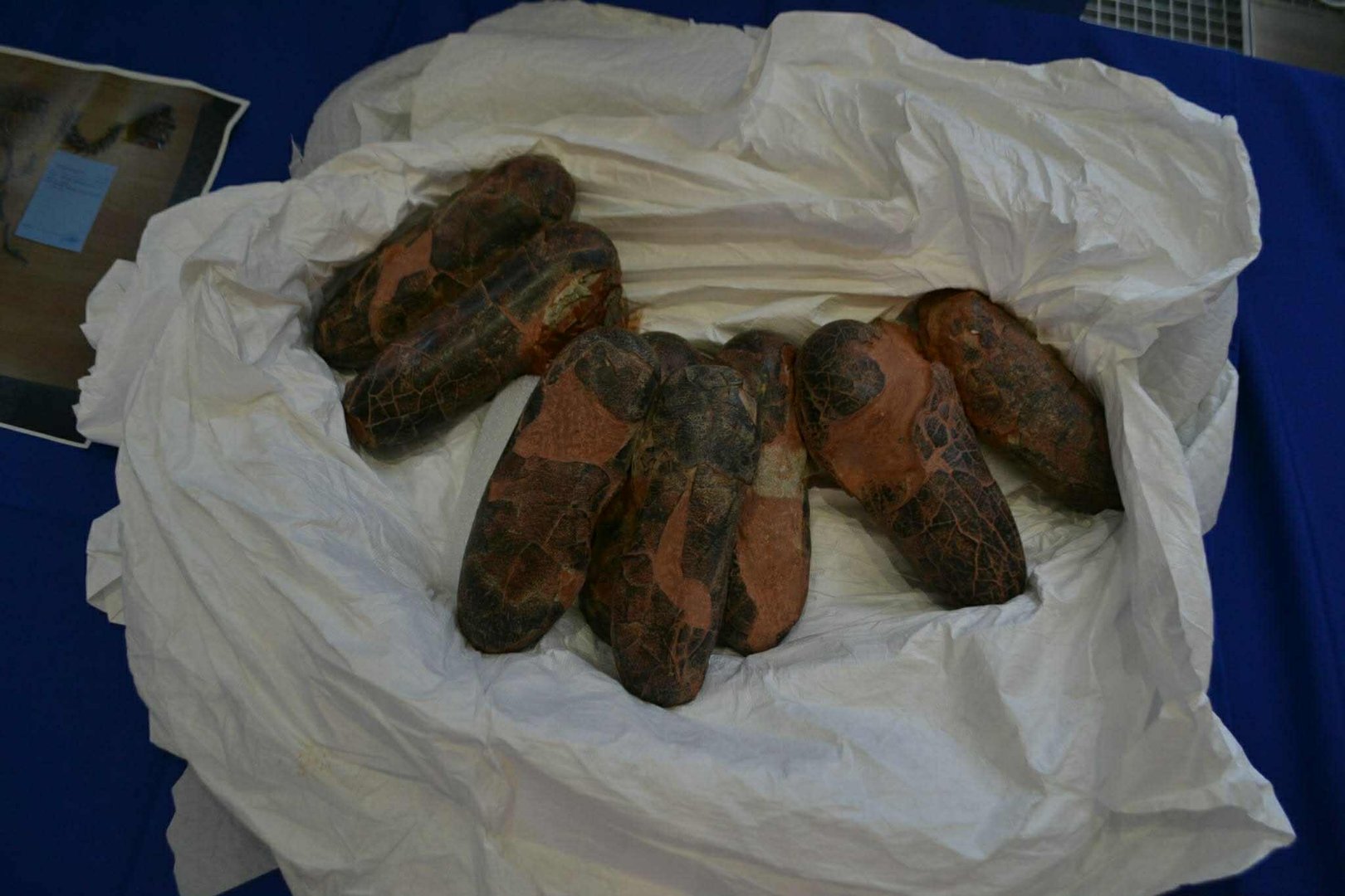 4719260eade6430685fa36b8f390a468